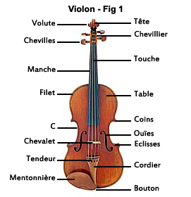 Présentation du violon 